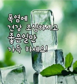 blogchart_img