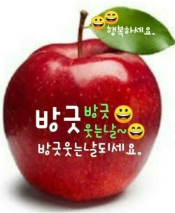 blogchart_img