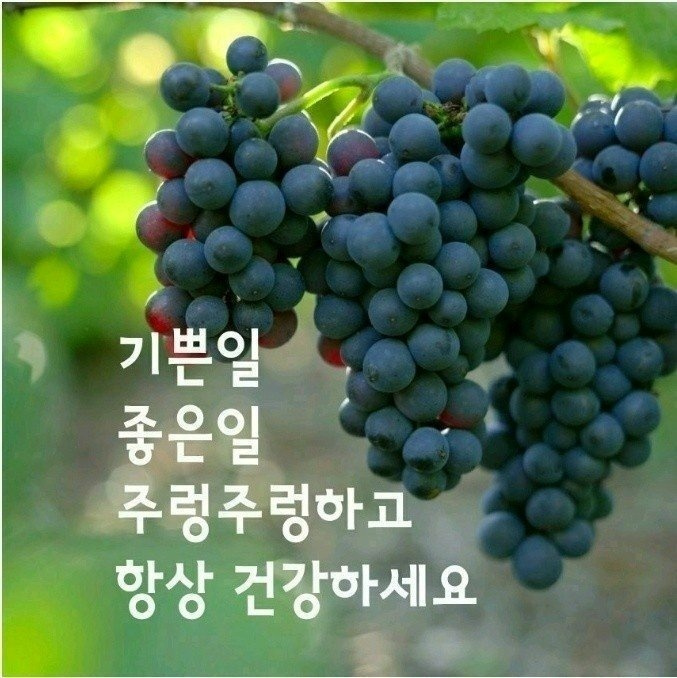 blogchart_img