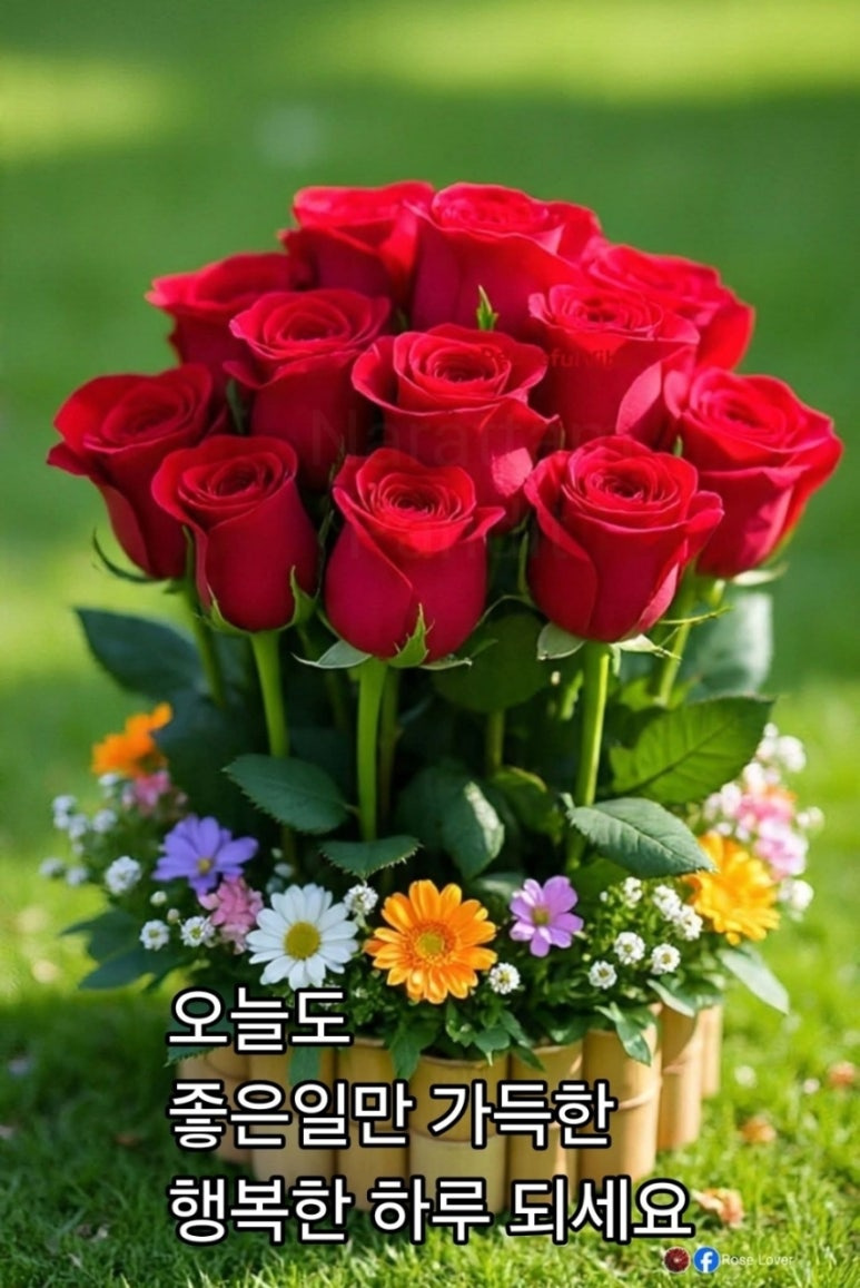 blogchart_img