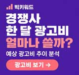 경쟁사 검색 광고비 추이